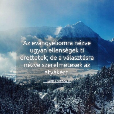 Picture 05 - Róma 11:28 KAR - Az evangyéliomra nézve ugyan ellenségek ti - Bible Verse Picture