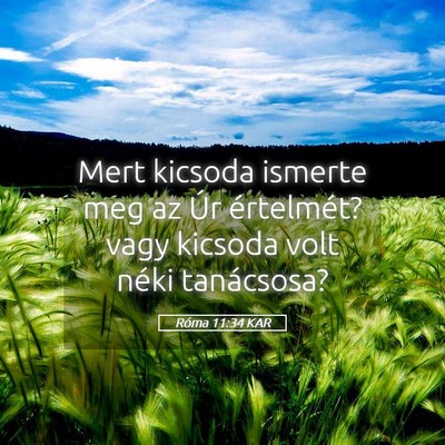 Picture 05 - Róma 11:34 KAR - Mert kicsoda ismerte meg az Úr értelmét? vagy - Bible Verse Picture