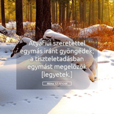 Picture 05 - Róma 12:10 KAR - Atyafiúi szeretettel egymás iránt gyöngédek; - Bible Verse Picture