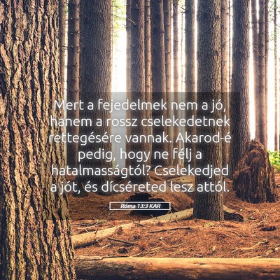 Picture 05 - Róma 13:3 KAR - Mert a fejedelmek nem a jó, hanem a rossz - Bible Verse Picture