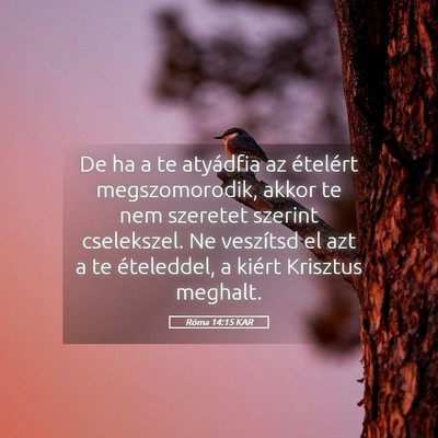 Picture 05 - Róma 14:15 KAR - De ha a te atyádfia az ételért megszomorodik, - Bible Verse Picture