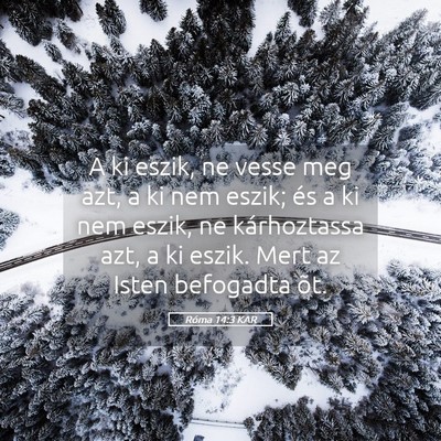 Picture 05 - Róma 14:3 KAR - A ki eszik, ne vesse meg azt, a ki nem eszik; és - Bible Verse Picture