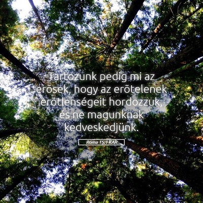 Picture 05 - Róma 15:1 KAR - Tartozunk pedig mi az erõsek, hogy az - Bible Verse Picture