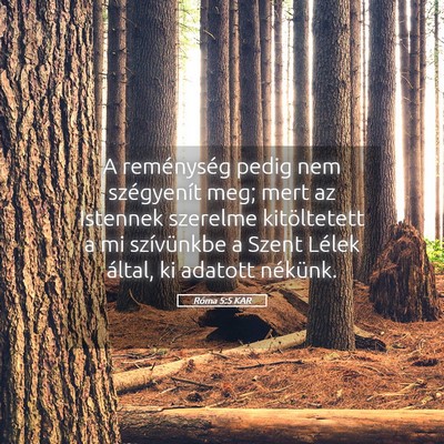 Picture 05 - Róma 5:5 KAR - A reménység pedig nem szégyenít meg; mert az - Bible Verse Picture