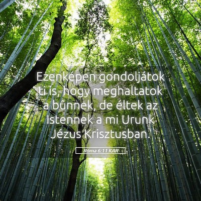 Picture 05 - Róma 6:11 KAR - Ezenképen gondoljátok ti is, hogy meghaltatok a - Bible Verse Picture
