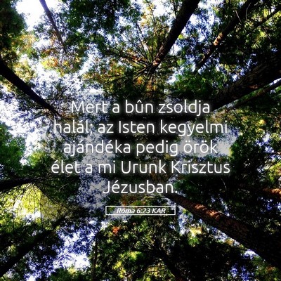 Picture 05 - Róma 6:23 KAR - Mert a bûn zsoldja halál; az Isten kegyelmi - Bible Verse Picture
