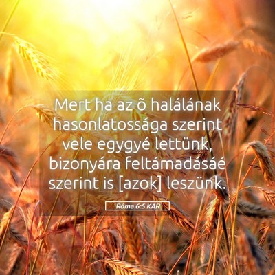 Picture 05 - Róma 6:5 KAR - Mert ha az õ halálának hasonlatossága szerint - Bible Verse Picture
