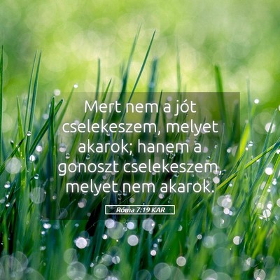 Picture 05 - Róma 7:19 KAR - Mert nem a jót cselekeszem, melyet akarok; hanem - Bible Verse Picture