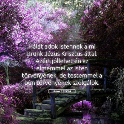 Picture 05 - Róma 7:25 KAR - Hálát adok Istennek a mi Urunk Jézus Krisztus - Bible Verse Picture