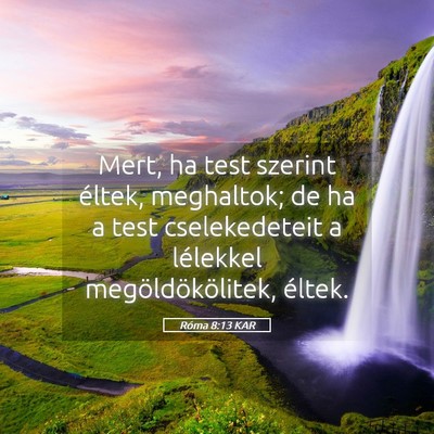 Picture 05 - Róma 8:13 KAR - Mert, ha test szerint éltek, meghaltok; de ha a - Bible Verse Picture