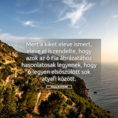 Picture 05 - Róma 8:29 KAR - Mert a kiket eleve ismert, eleve el is rendelte, - Bible Verse Picture