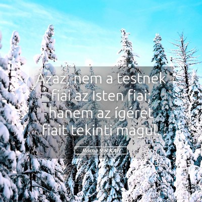 Picture 05 - Róma 9:8 KAR - Azaz, nem a testnek fiai az Isten fiai; hanem az - Bible Verse Picture