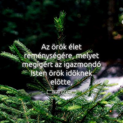 Picture 05 - Titusz 1:2 KAR - Az örök élet reménységére, melyet - Bible Verse Picture