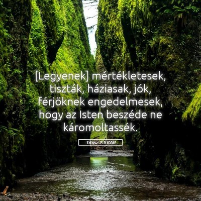 Picture 05 - Titusz 2:5 KAR - [Legyenek] mértékletesek, tiszták, háziasak, - Bible Verse Picture