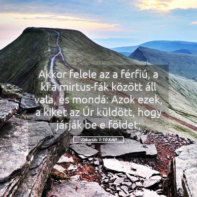 Picture 05 - Zakariás 1:10 KAR - Akkor felele az a férfiú, a ki a mirtus-fák - Bible Verse Picture