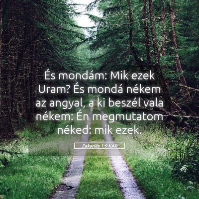 Picture 05 - Zakariás 1:9 KAR - És mondám: Mik ezek Uram? És mondá nékem az - Bible Verse Picture