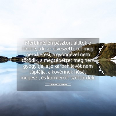 Picture 05 - Zakariás 11:16 KAR - Mert ímé, én pásztort állítok e földre, a - Bible Verse Picture