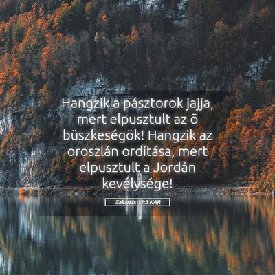 Picture 05 - Zakariás 11:3 KAR - Hangzik a pásztorok jajja, mert elpusztult az õ - Bible Verse Picture