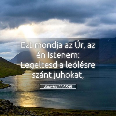 Picture 05 - Zakariás 11:4 KAR - Ezt mondja az Úr, az én Istenem: Legeltesd a - Bible Verse Picture