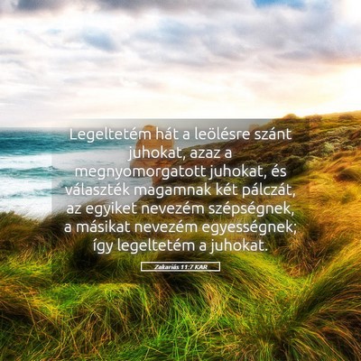 Picture 05 - Zakariás 11:7 KAR - Legeltetém hát a leölésre szánt juhokat, - Bible Verse Picture