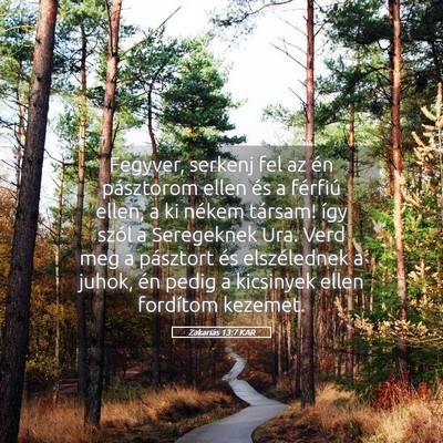 Picture 05 - Zakariás 13:7 KAR - Fegyver, serkenj fel az én pásztorom ellen és - Bible Verse Picture
