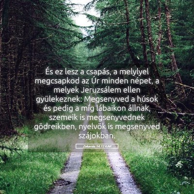 Picture 05 - Zakariás 14:12 KAR - És ez lesz a csapás, a melylyel megcsapkod az - Bible Verse Picture
