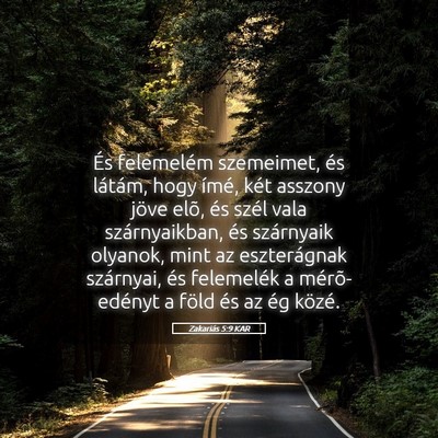 Picture 05 - Zakariás 5:9 KAR - És felemelém szemeimet, és látám, hogy - Bible Verse Picture