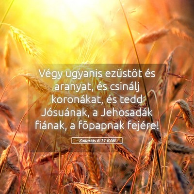 Picture 05 - Zakariás 6:11 KAR - Végy ugyanis ezüstöt és aranyat, és csinálj - Bible Verse Picture