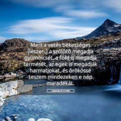 Picture 05 - Zakariás 8:12 KAR - Mert a vetés békességes [lészen,] a - Bible Verse Picture
