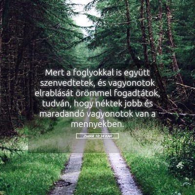 Picture 05 - Zsidók 10:34 KAR - Mert a foglyokkal is együtt szenvedtetek, és - Bible Verse Picture