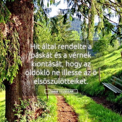 Picture 05 - Zsidók 11:28 KAR - Hit által rendelte a páskát és a vérnek - Bible Verse Picture