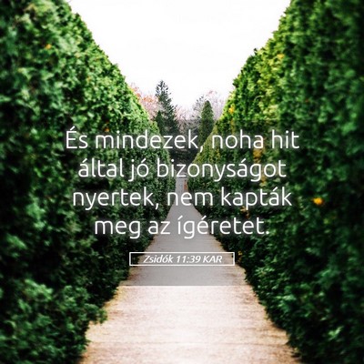 Picture 05 - Zsidók 11:39 KAR - És mindezek, noha hit által jó bizonyságot - Bible Verse Picture