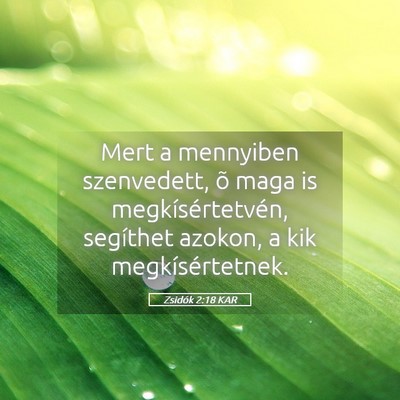 Picture 05 - Zsidók 2:18 KAR - Mert a mennyiben szenvedett, õ maga is - Bible Verse Picture