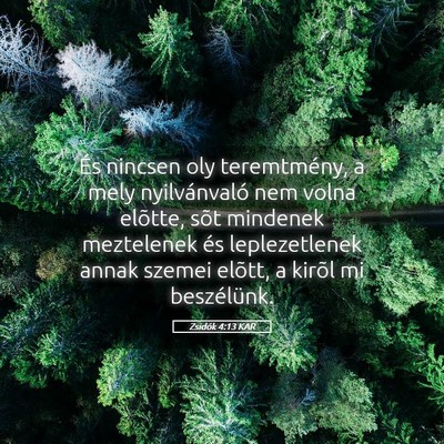 Picture 05 - Zsidók 4:13 KAR - És nincsen oly teremtmény, a mely nyilvánvaló - Bible Verse Picture