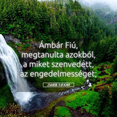 Picture 05 - Zsidók 5:8 KAR - Ámbár Fiú, megtanulta azokból, a miket - Bible Verse Picture