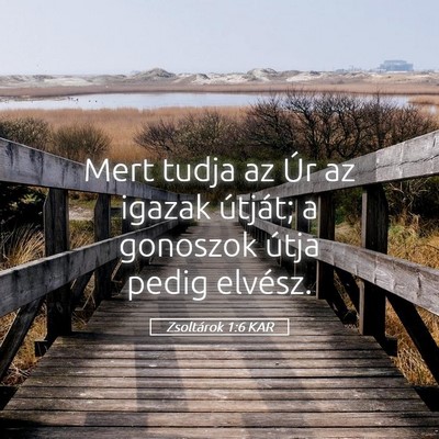 Picture 05 - Zsoltárok 1:6 KAR - Mert tudja az Úr az igazak útját; a gonoszok - Bible Verse Picture