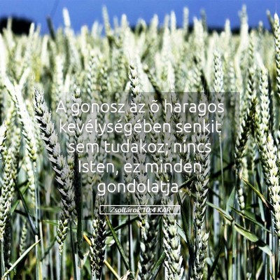 Picture 05 - Zsoltárok 10:4 KAR - A gonosz az õ haragos kevélységében senkit - Bible Verse Picture