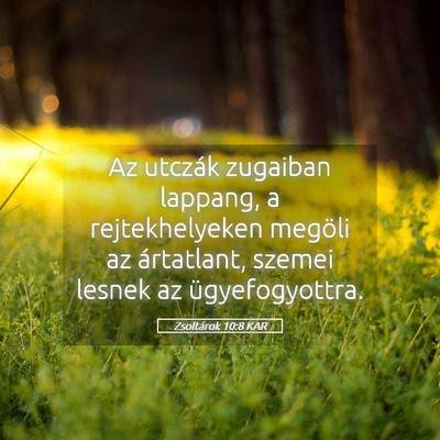 Picture 05 - Zsoltárok 10:8 KAR - Az utczák zugaiban lappang, a rejtekhelyeken - Bible Verse Picture