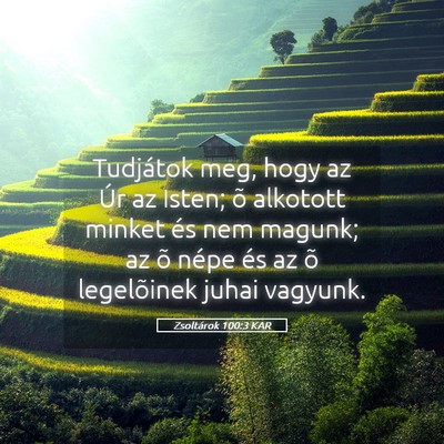 Picture 05 - Zsoltárok 100:3 KAR - Tudjátok meg, hogy az Úr az Isten; õ alkotott - Bible Verse Picture