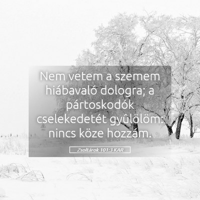 Picture 05 - Zsoltárok 101:3 KAR - Nem vetem a szemem hiábavaló dologra; a - Bible Verse Picture