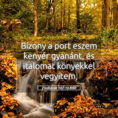 Picture 05 - Zsoltárok 102:10 KAR - Bizony a port eszem kenyér gyanánt, és - Bible Verse Picture