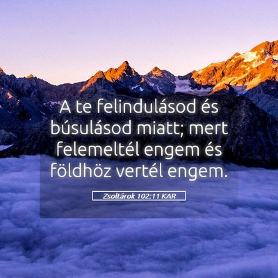 Picture 05 - Zsoltárok 102:11 KAR - A te felindulásod és búsulásod miatt; mert - Bible Verse Picture
