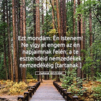 Picture 05 - Zsoltárok 102:25 KAR - Ezt mondám: Én Istenem! Ne vígy el engem az - Bible Verse Picture