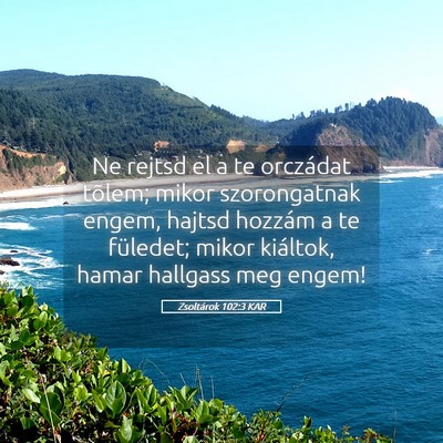 Picture 05 - Zsoltárok 102:3 KAR - Ne rejtsd el a te orczádat tõlem; mikor - Bible Verse Picture