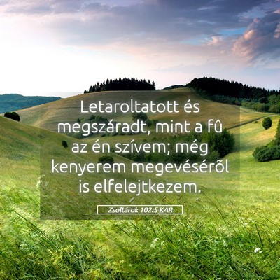 Picture 05 - Zsoltárok 102:5 KAR - Letaroltatott és megszáradt, mint a fû az én - Bible Verse Picture