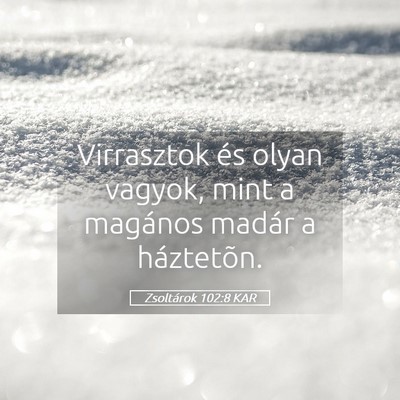 Picture 05 - Zsoltárok 102:8 KAR - Virrasztok és olyan vagyok, mint a magános - Bible Verse Picture