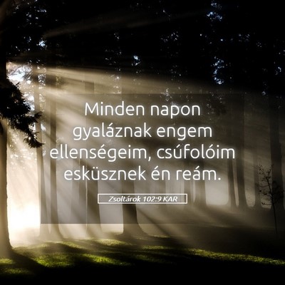 Picture 05 - Zsoltárok 102:9 KAR - Minden napon gyaláznak engem ellenségeim, - Bible Verse Picture