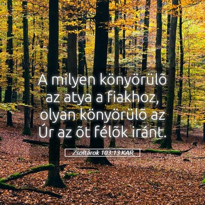 Picture 05 - Zsoltárok 103:13 KAR - A milyen könyörülõ az atya a fiakhoz, olyan - Bible Verse Picture