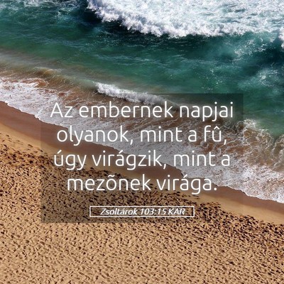 Picture 05 - Zsoltárok 103:15 KAR - Az embernek napjai olyanok, mint a fû, úgy - Bible Verse Picture