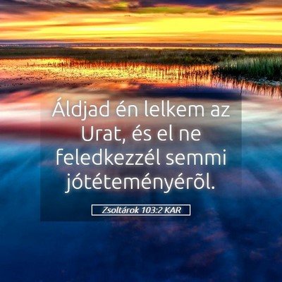 Picture 05 - Zsoltárok 103:2 KAR - Áldjad én lelkem az Urat, és el ne - Bible Verse Picture
